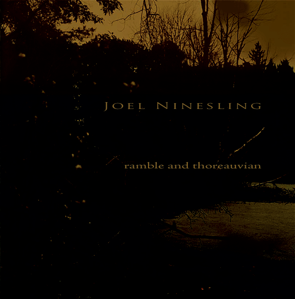Joel Ninesling - ramble and thoreauvian